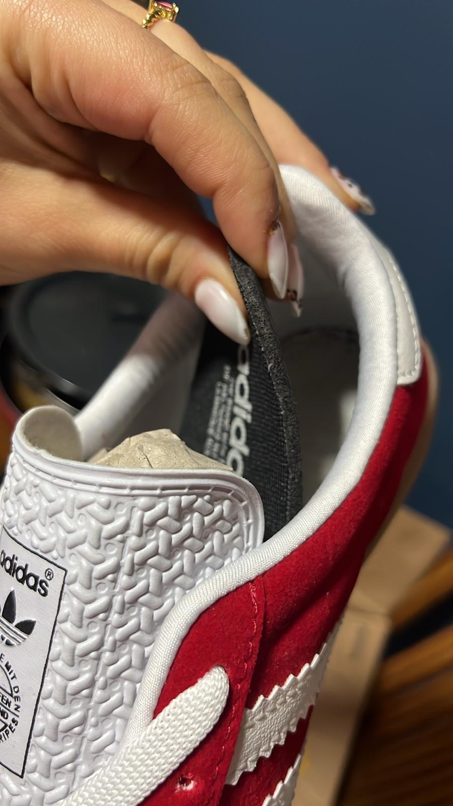 Gazelle Rojo