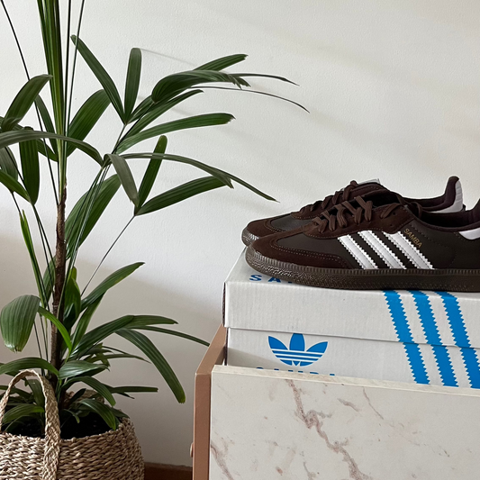 Samba Colores